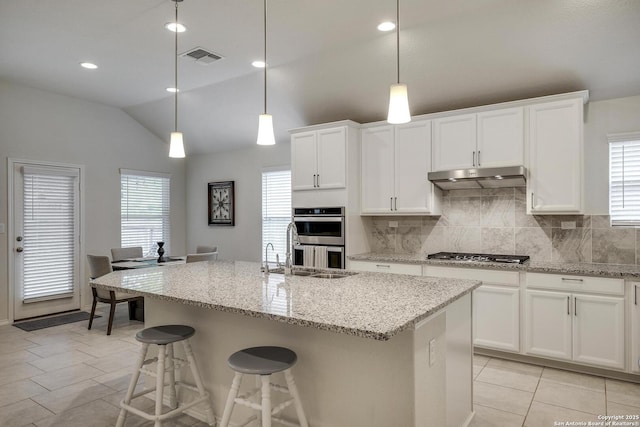12243 Dusty Boots, San Antonio, TX 78254 - kitchen with under cabinet range hood, appliances with stainless steel finishes, lofted ceiling, backsplash, and healthy amount of natural light
