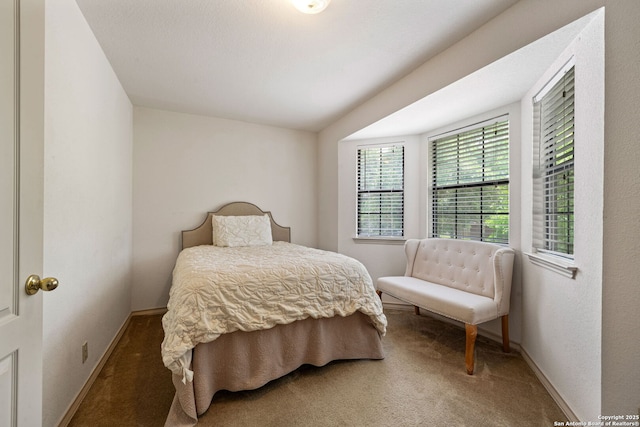 107 River Knl, Castroville, TX 78009 - bedroom featuring carpet flooring and baseboards