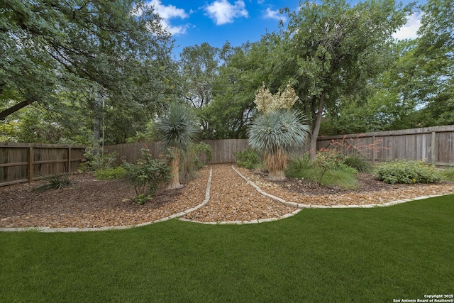 1326 Walkers Way, San Antonio, TX 78216 - view of yard