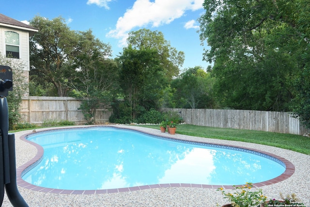 view of swimming pool