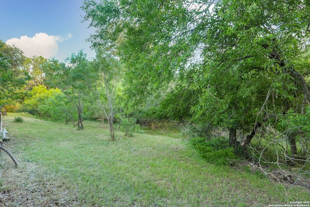 view of green lawn featuring a wooded view