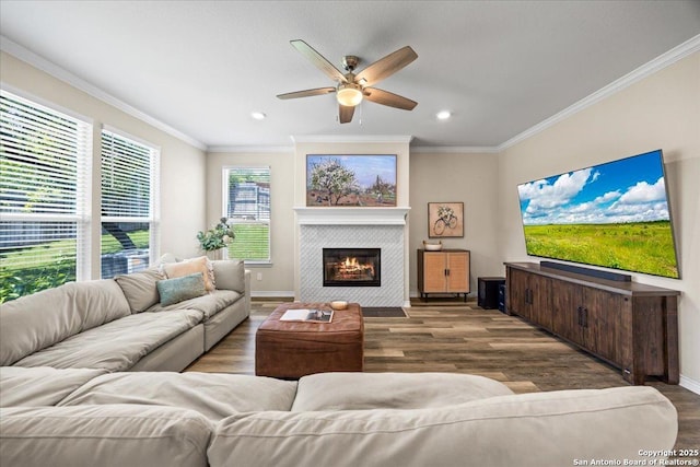 11334 Hill Top Bnd, Helotes, TX 78023 - living area with wood finished floors, ceiling fan, ornamental molding, a fireplace, and recessed lighting