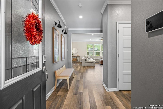 11334 Hill Top Bnd, Helotes, TX 78023 - foyer with crown molding, a textured wall, dark wood-type flooring, baseboards, and ceiling fan