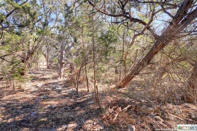 1330 Trailhead, New Braunfels, TX 78132