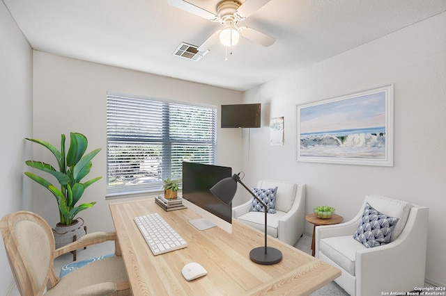 9727 Gypsy Cv, Converse, TX 78109 - office featuring a ceiling fan and wood finished floors