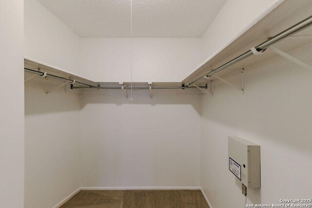 15522 Wood Sorrel, San Antonio, TX 78247 - spacious closet with carpet floors