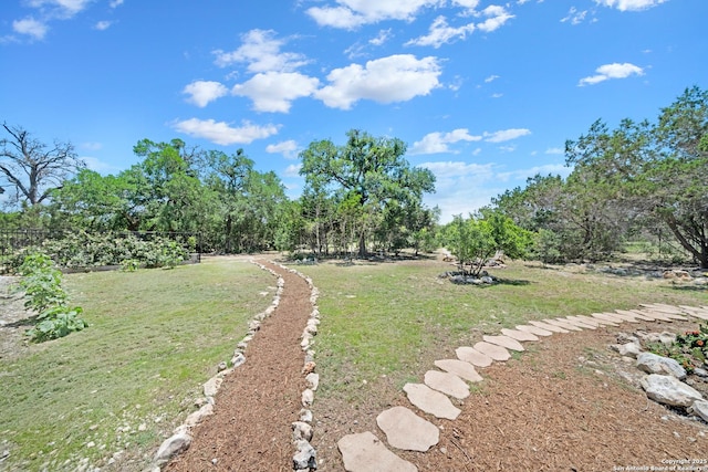 view of grassy yard