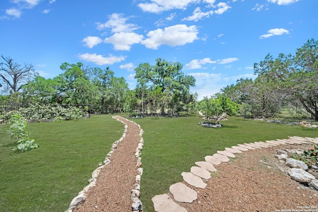view of green lawn