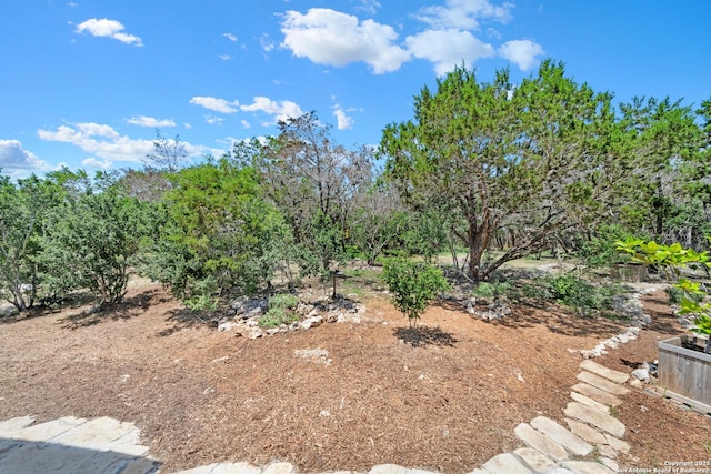 view of undeveloped land