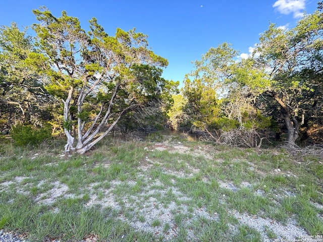 1191 Hallmark, Canyon Lake, TX 78133