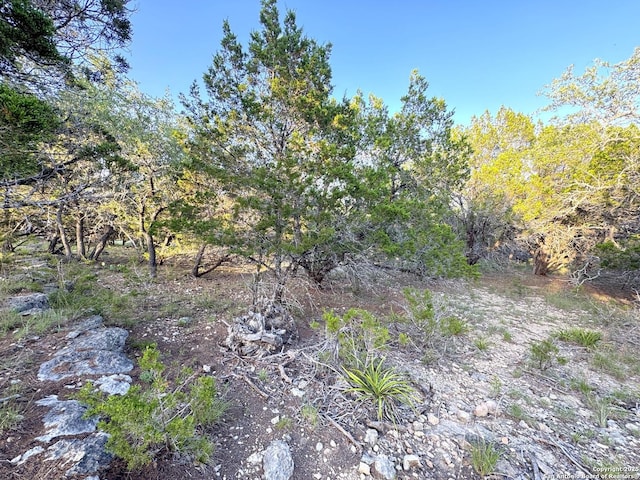 1191 Hallmark, Canyon Lake, TX 78133