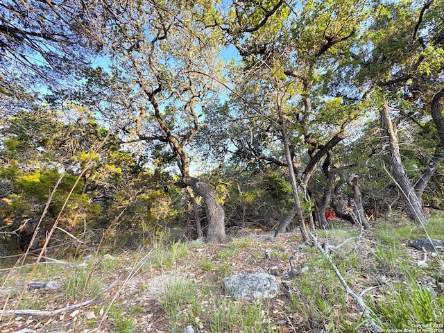 1191 Hallmark, Canyon Lake, TX 78133