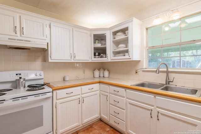 kitchen featuring white electric range oven, a sink, under cabinet range hood, tasteful backsplash, and glass insert cabinets
