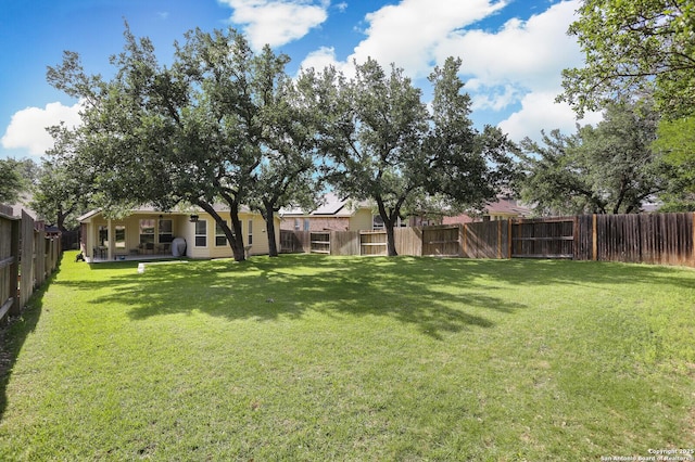 26940 Rustic Brk, San Antonio, TX 78261 - view of yard