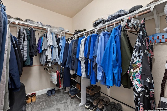 8515 Desert Cv, San Antonio, TX 78254 - walk in closet featuring carpet