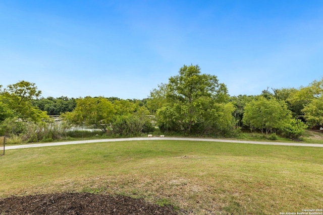 8515 Desert Cv, San Antonio, TX 78254 - view of green lawn