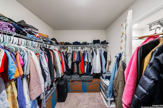 14407 Elkhorn Crst, San Antonio, TX 78253 - walk in closet with carpet floors