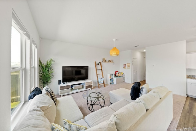 14407 Elkhorn Crst, San Antonio, TX 78253 - living room with light wood-style floors