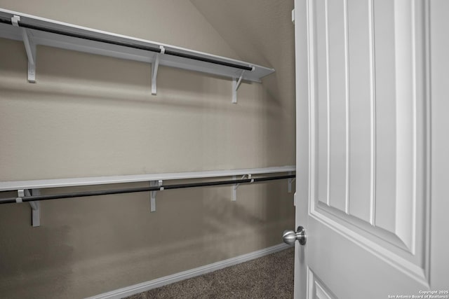 11734 Violet Cv, San Antonio, TX 78253 - spacious closet with carpet flooring