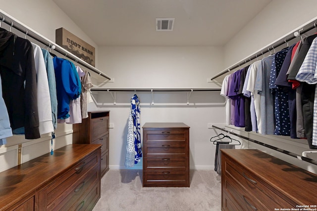 10259 Juniper Oaks, Boerne, TX 78006 - walk in closet featuring light carpet