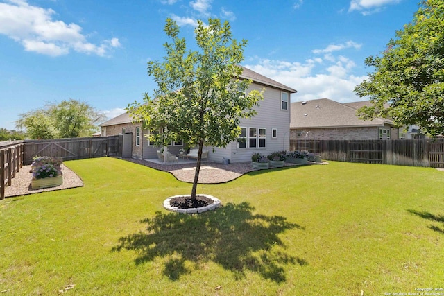 612 Wipper, New Braunfels, TX 78130 - view of yard