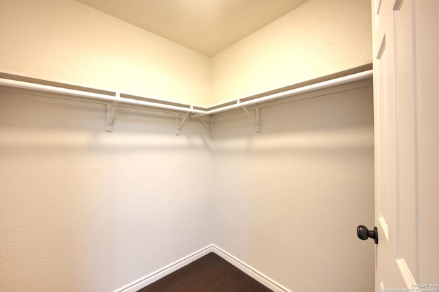 5914 Pineway, San Antonio, TX 78247 - walk in closet featuring dark wood-type flooring