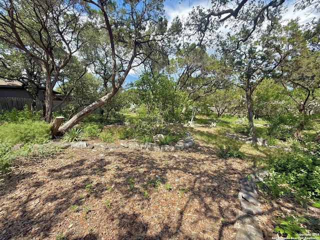 view of local wilderness