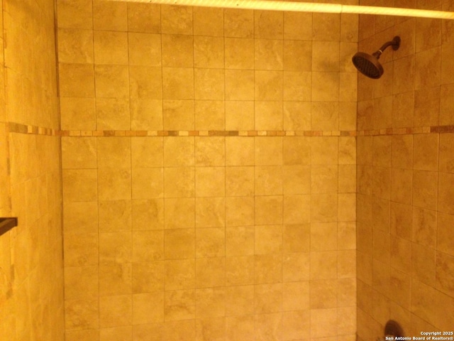 bathroom view of a tile shower