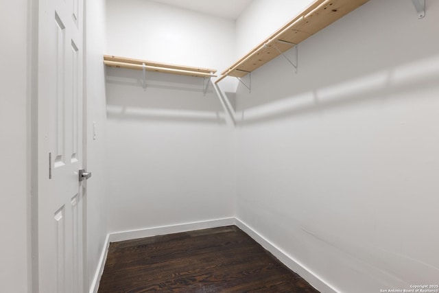1144 Denver, San Antonio, TX 78210 - spacious closet featuring dark wood-style floors