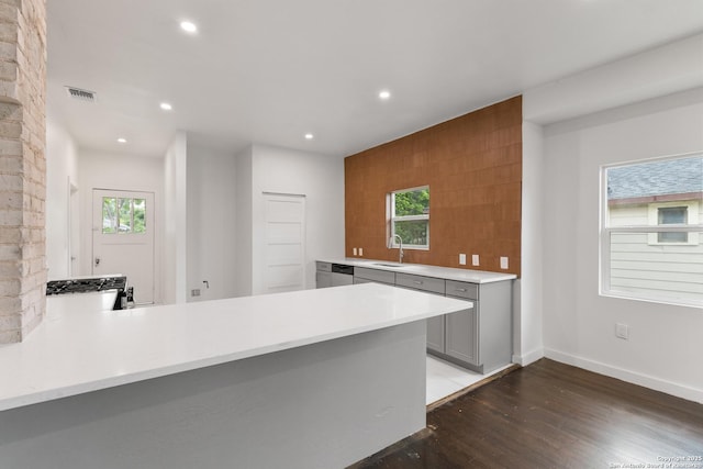 1144 Denver, San Antonio, TX 78210 - kitchen with gray cabinets, light countertops, light wood finished floors, recessed lighting, and a sink