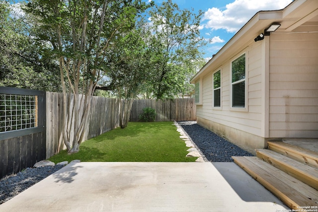 view of yard featuring a patio