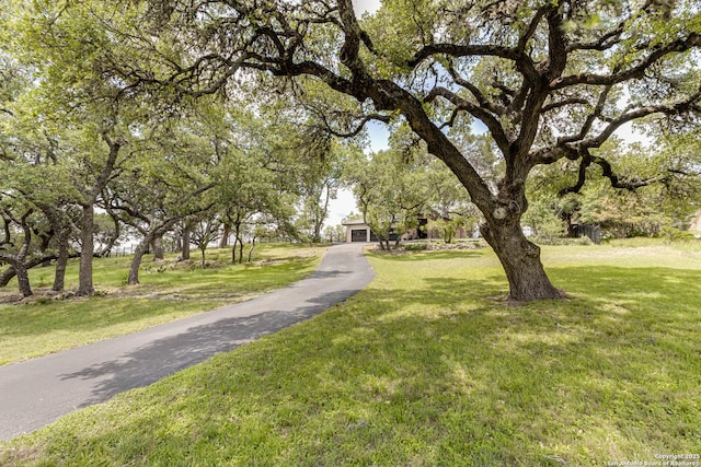 28426 Quadrille Ln, Boerne, TX 78015 - surrounding community with a lawn