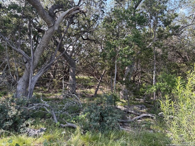 1482 Trailhead, New Braunfels, TX 78132