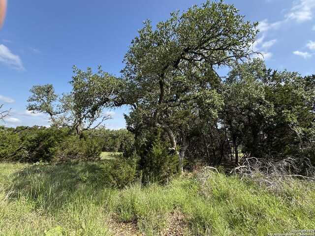 1482 Trailhead, New Braunfels, TX 78132
