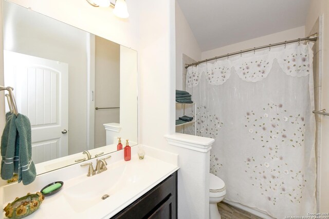 1710 Briar Spg, San Antonio, TX 78245 - full bathroom featuring toilet, vanity, and a shower with curtain
