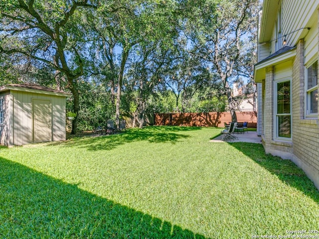 view of yard with a storage shed, a patio, and an outdoor structure