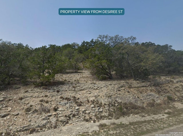 1510 Desiree, Canyon Lake, TX 78133