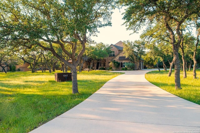 1040 Glenwood, Bulverde, TX 78163 - surrounding community featuring concrete driveway and a yard