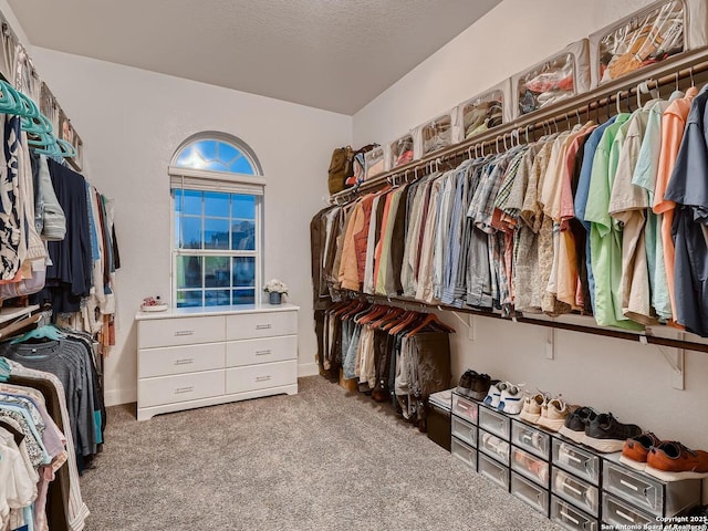 walk in closet with carpet