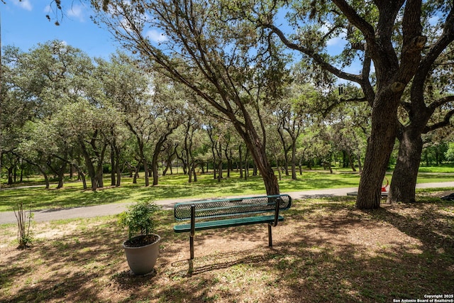 38 Atwell, San Antonio, TX 78254 - surrounding community featuring a yard and view of wooded area