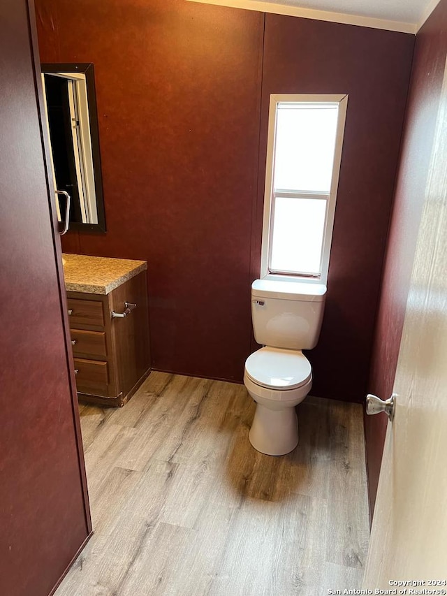 bathroom with wood finished floors, toilet, and vanity