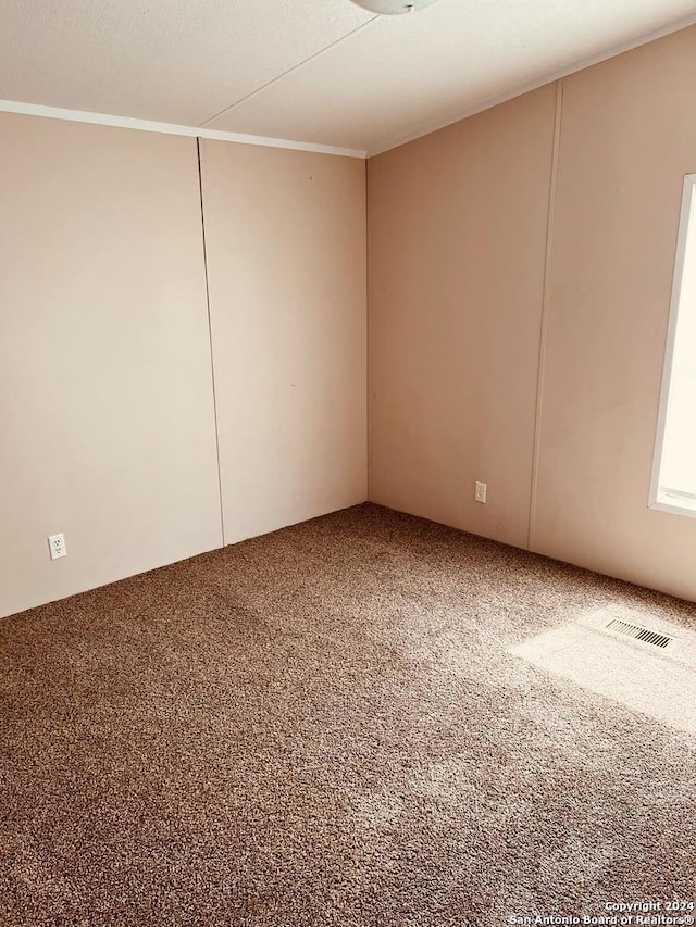 carpeted empty room featuring crown molding