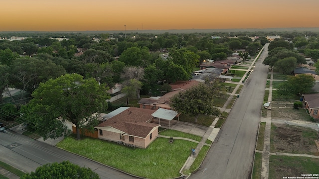 bird's eye view