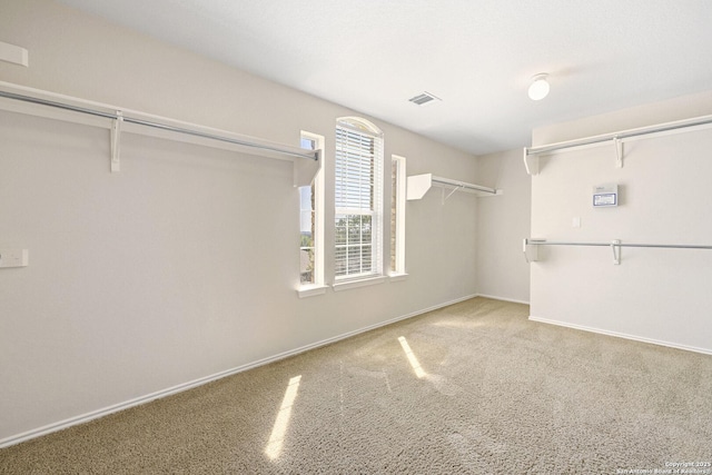 spacious closet featuring carpet floors