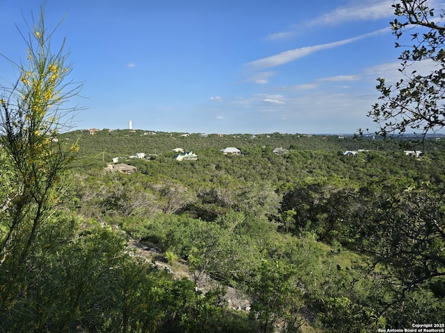 9840 Tower Vw, Helotes, TX 78023 - view of nature