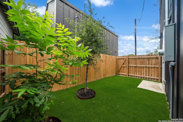 1108 S Gevers St, San Antonio, TX 78203 - view of yard