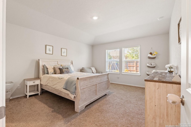 13927 Borolanite, San Antonio, TX 78253 - bedroom with carpet flooring, baseboards, and recessed lighting