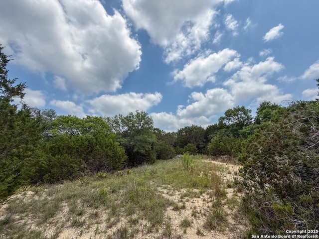 LOT1 Watts Ln, Canyon Lake, TX 78133