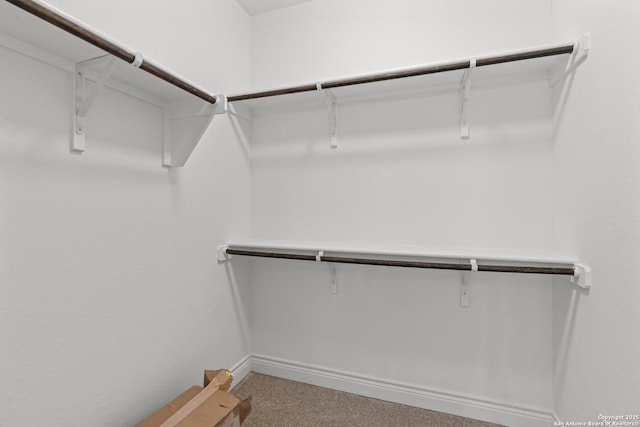 2171 Oak Run Pkwy, New Braunfels, TX 78132 - walk in closet featuring carpet
