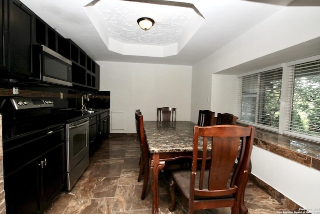 23127 Opportunity, Elmendorf, TX 78112 - dining space with a raised ceiling